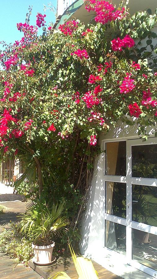 Cape Oasis Guesthouse Bloubergstrand Buitenkant foto