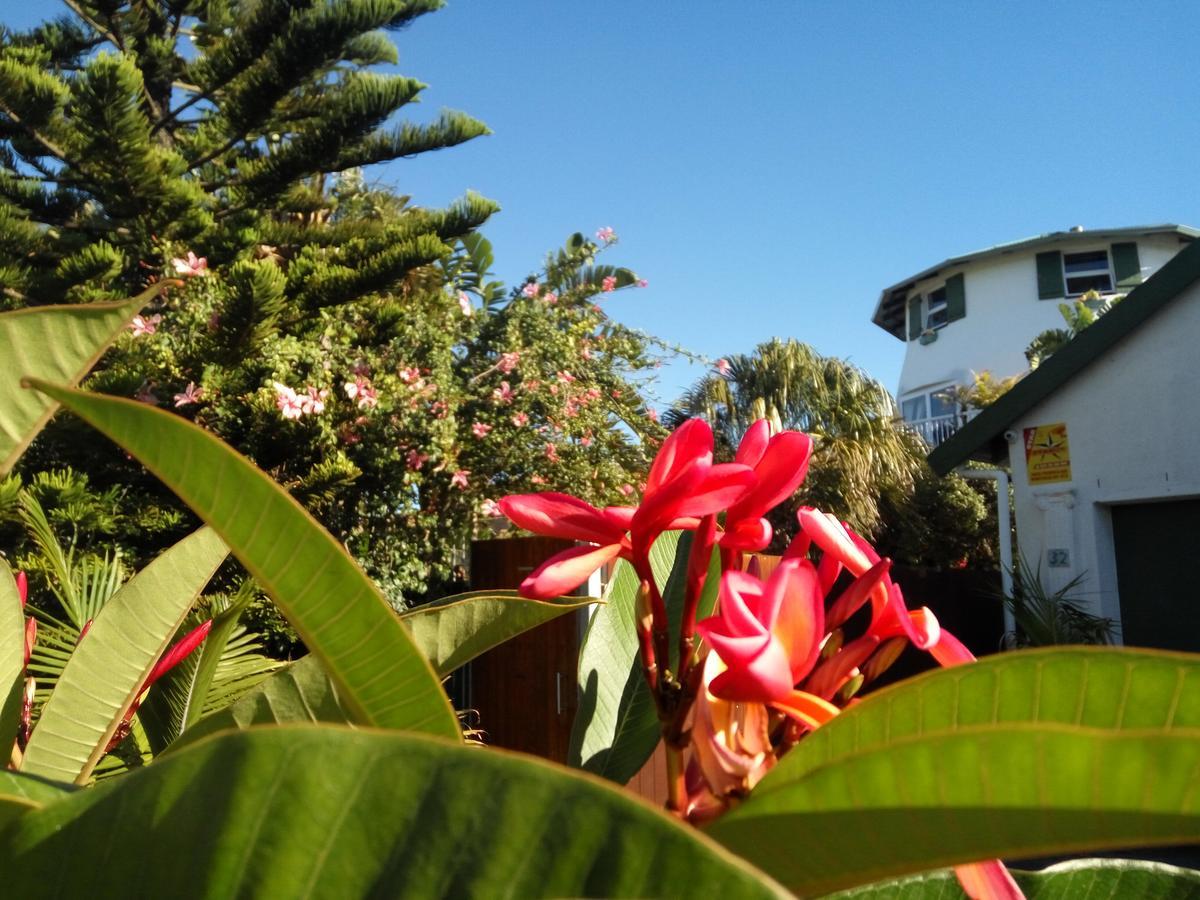 Cape Oasis Guesthouse Bloubergstrand Buitenkant foto